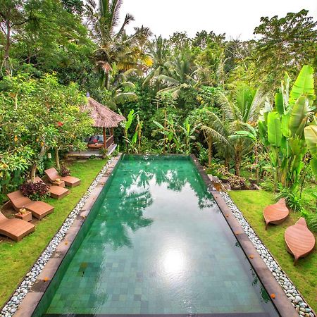 Villa Viola Ubud  Bagian luar foto
