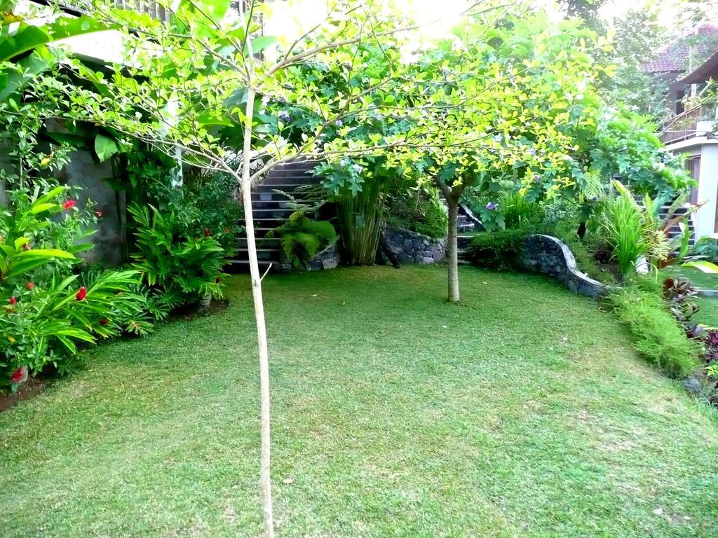 Villa Viola Ubud  Bagian luar foto