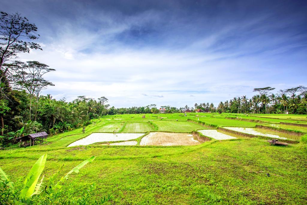 Villa Viola Ubud  Bagian luar foto