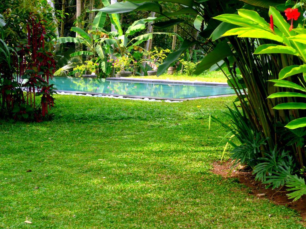 Villa Viola Ubud  Bagian luar foto