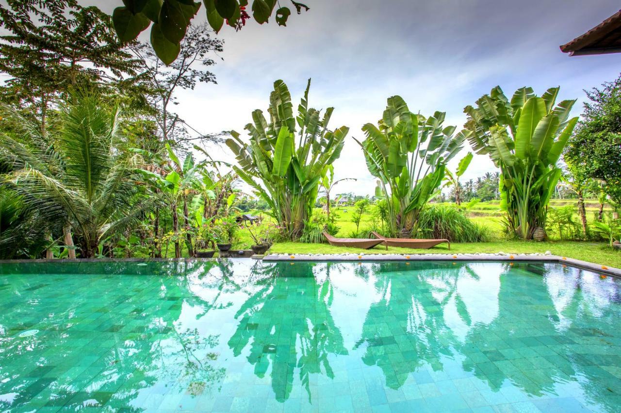 Villa Viola Ubud  Bagian luar foto